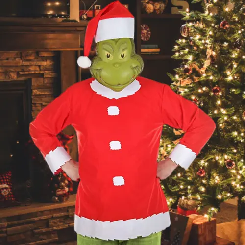 How The Grinch Stole Christmas Adult Costume